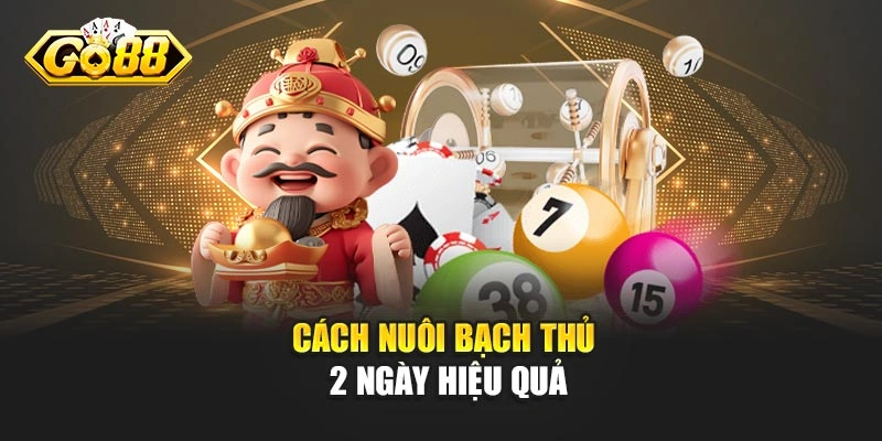 Cách nuôi bạch thủ 2 ngày hiệu quả