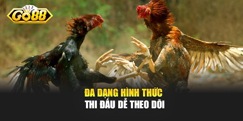 Đa dạng hình thức thi đấu dễ theo dõi