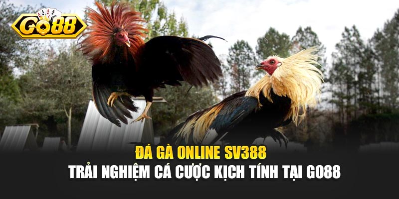 Đá Gà Online SV388 – Trải Nghiệm Cá Cược Kịch Tính Tại Go88
