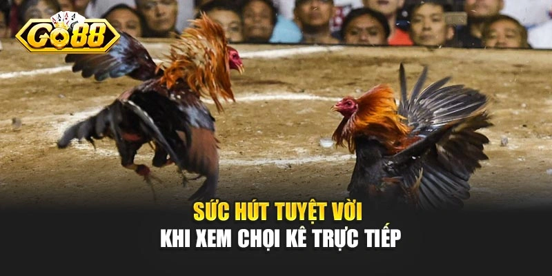 Sức hút tuyệt vời khi xem chọi kê trực tiếp